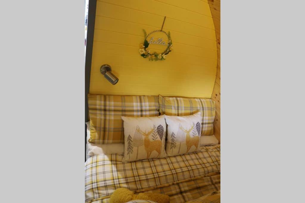 Glampods Glamping Pod - Meet Highland Cows And Sheep Elgin Vila Exterior foto