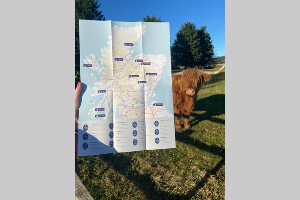 Glampods Glamping Pod - Meet Highland Cows And Sheep Elgin Vila Exterior foto