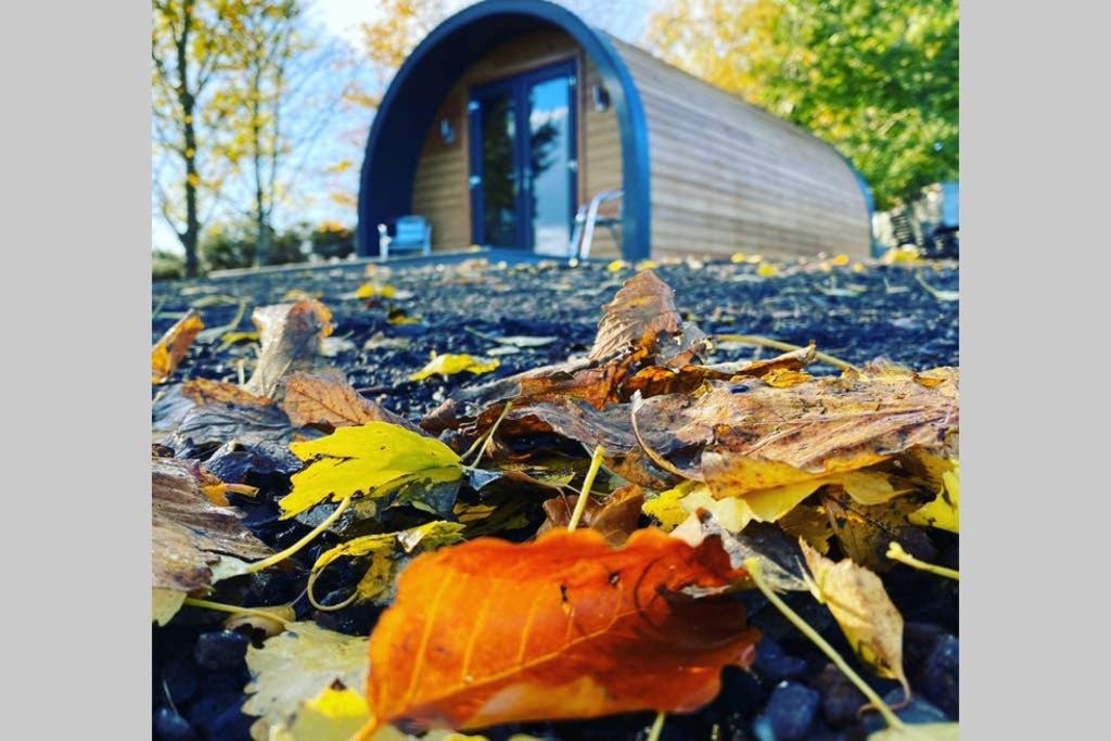 Glampods Glamping Pod - Meet Highland Cows And Sheep Elgin Vila Exterior foto